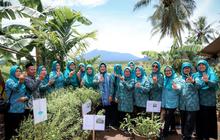 Fakta Menarik: Desa Cikedung, Dulunya Tertinggal, Kini Resmi Naik Status Jadi Desa Berkembang Berkat Gotong Royong Warga