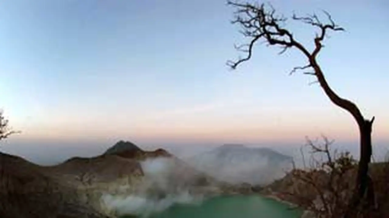liputan6