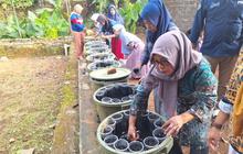 Budidamber Jadi Program Klasterisasi Idaman Nasabah PNM di Banyumas
