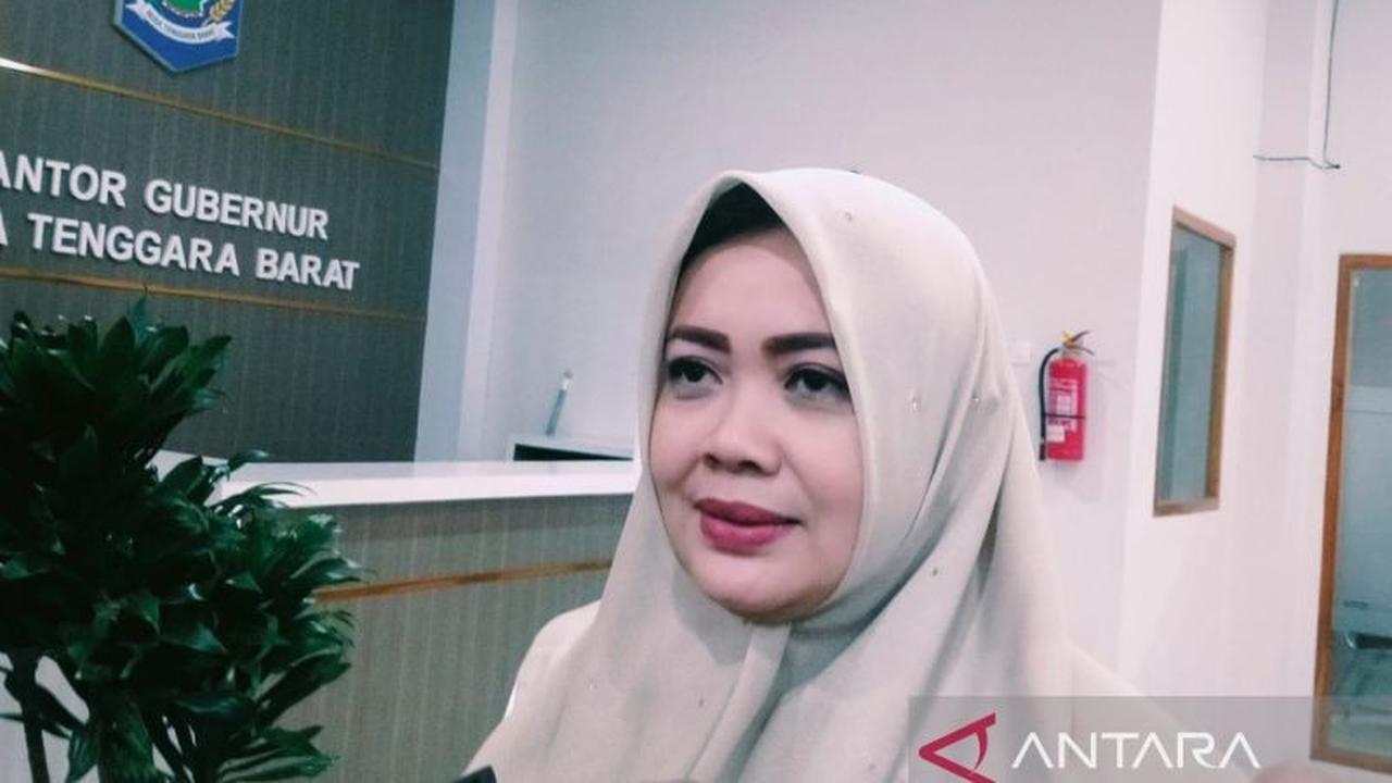 Fakta Tim Percepatan NTB: Wagub Indah Dhamayanti Putri Jamin Profesionalisme, Siapa Saja Anggotanya?