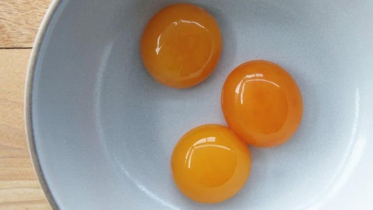 Rahasia Kucing Gemuk dan Bahagia: 7 Makanan yang Bikin Si Manis Tambah Montok!