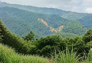 Gunung Kamarora di Sigi longsor akibat gempa Palu. (BPBD Provinsi Sulawesi Tengah)