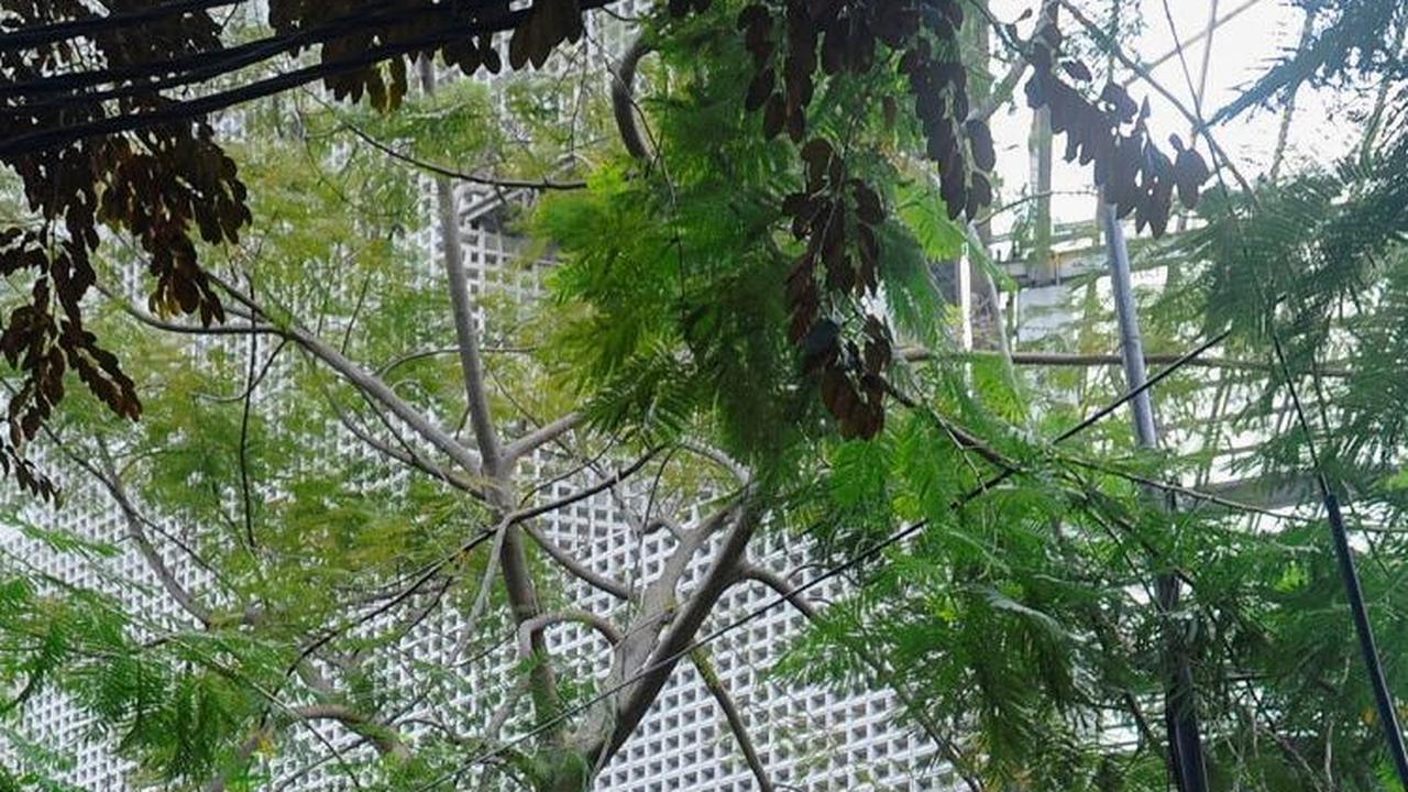 Pengurus museum menuturkan api berhasil dipadamkan sekitar pukul 21.37 WIB pada Sabtu (16/9/2023) malam.