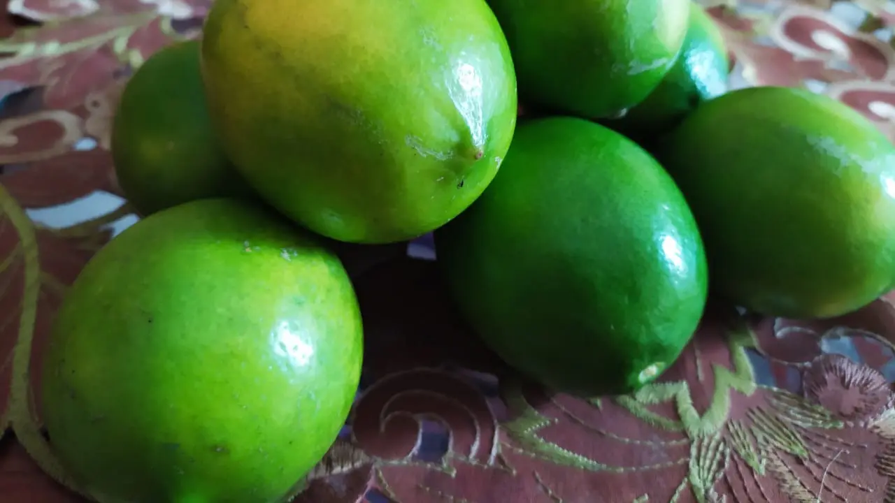 Beberapa butir jeruk California hasil bumi kota Intan Garut, Jawa Barat, cukup efektif dalam meningkatkan imun tubun seseorang, dalam menghadapi serangan penyakit, seperti Covid-19.