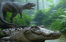 Buaya ini Punya Ukuran Lebih Besar dari Dinosaurus, Segini Berat dan Panjangnya