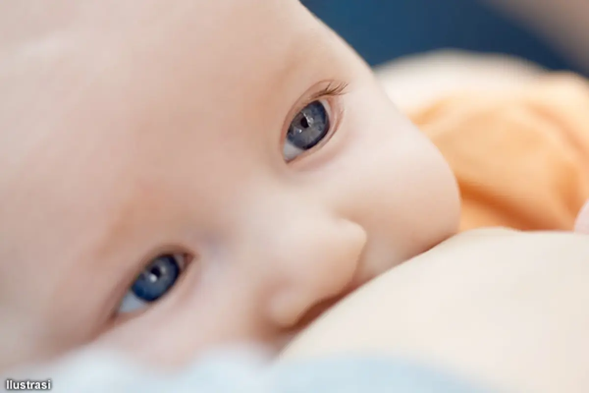 asi-bayi-130828c.jpg
