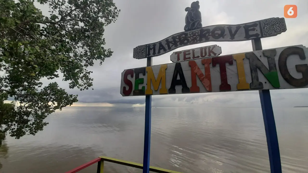 Hutan Mangrove Teluk Semanting