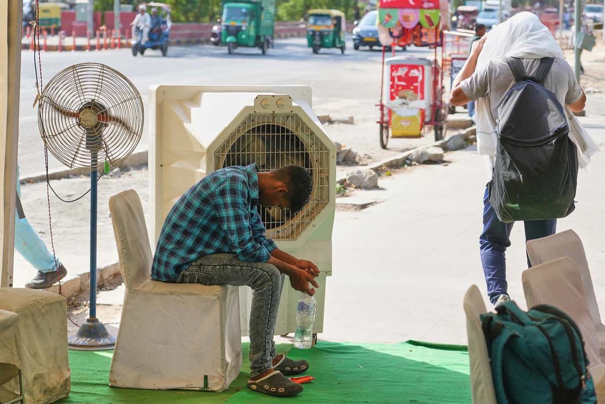 FOTO: Gelombang Panas Ekstrem Lumpuhkan Aktivitas Warga India Utara