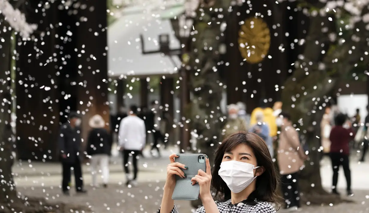 Seorang pengunjung berfoto di bawah pancuran bunga sakura yang sedang mekar sempurna di kuil Shinto di Tokyo, Kamis, 31 Maret 2022. Bunga sakura, atau "sakura", adalah bunga favorit Jepang dan biasanya mencapai puncaknya pada akhir Maret hingga awal April (AP Photo/Shuji Kajiyama)