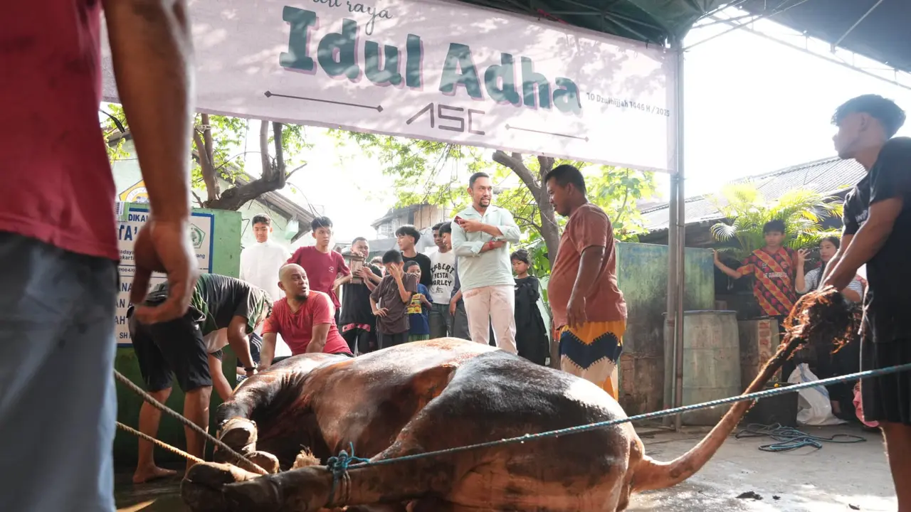 Momentum Hari Raya Idul Adha, Wakil Ketua Komisi III DPR RI, Ahmad Sahroni, menyalurkan 33 ton daging kurban ke sejumlah wilayah di Jakarta, khususnya di Jakarta Utara dan Jakarta Barat.