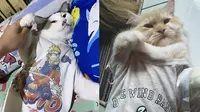 Potret Kucing Tidur Pakai Baju Kaus Bikin Gemas. (Sumber: Twitter/@kochengfess dan Twitter/@9oo427)