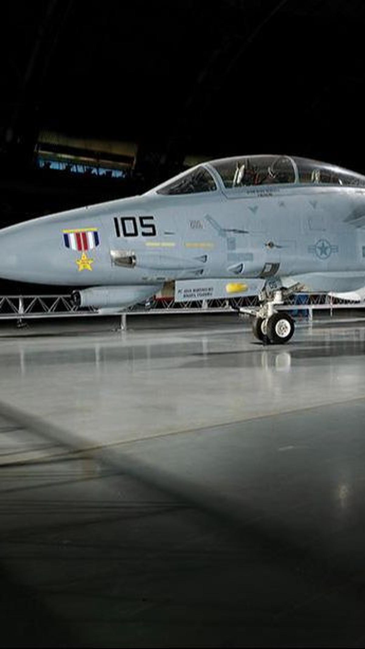 4. Grumman F-14 Tomcat (1970 hingga Sekarang)<br>