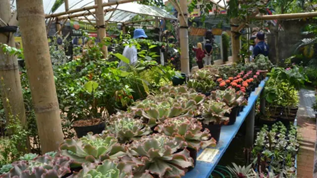 Wisata ke Eco Green Park Ini, Anda Langsung Fresh