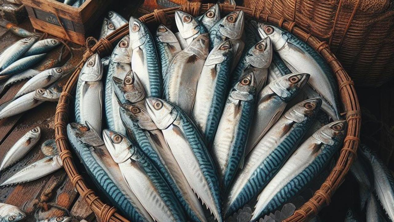 2. Ikan Kembung