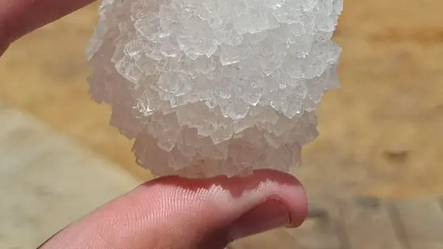 fenomena unik alam