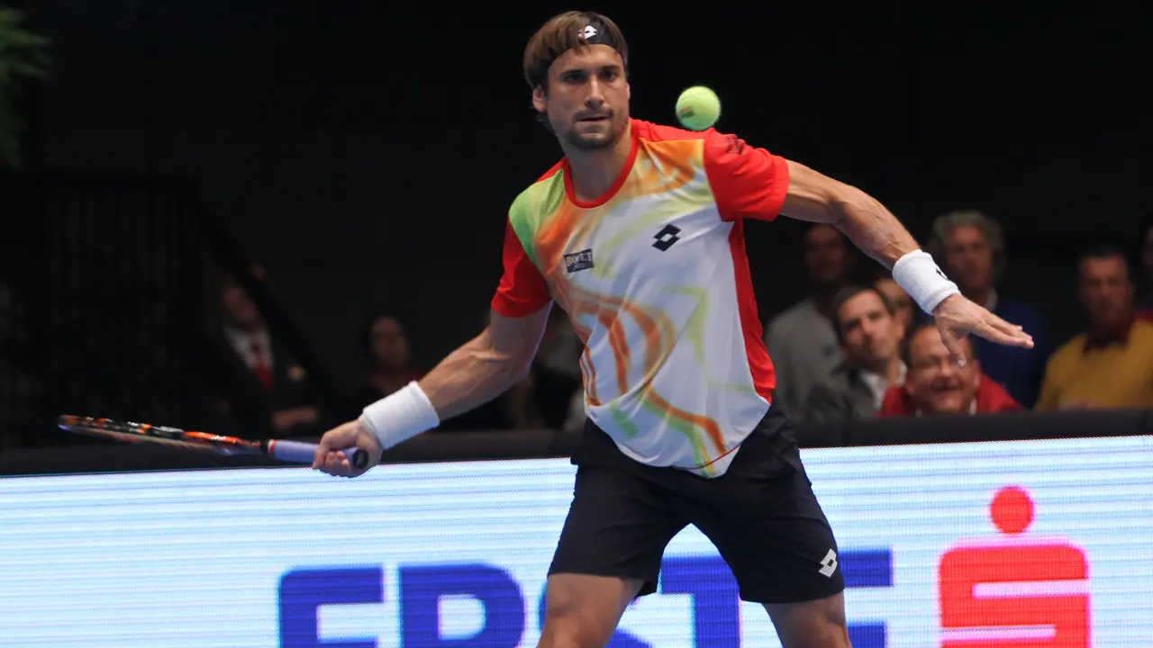 David Ferrer