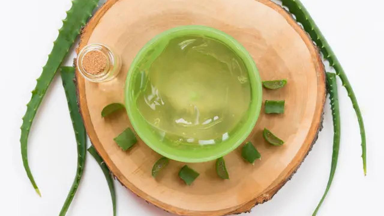 Khasiat Berbagai Jenis Lidah Buaya, dari Kesehatan Hingga Kecantikan