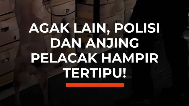 Agak Lain, Polisi dan Anjing Pelacak Hampir Tertipu!