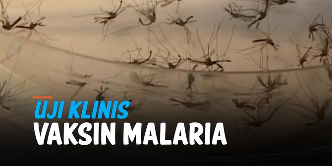 VIDEO: Indonesia Jajaki Kerja Sama Uji Klinis Vaksin Malaria