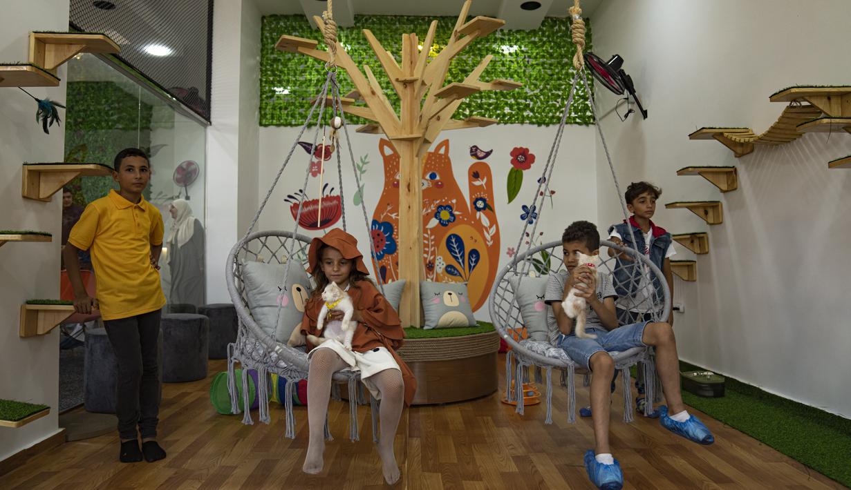 Kafe kucing pertama, Meow Cafe telah dibuka di Jalur Gaza pada hari Kamis. Kafe ini merupakan yang pertama di Jalur Gaza setelah tren tersebut mendunia. (AP Photo/Fatima Shbair)
