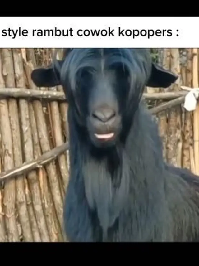 6 Gaya Rambut Kambing Ini Badai Banget, Bikin Ngakak