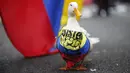 Seekor bebek mengenakan bandana dalam warna bendera nasional selama protes anti-pemerintah pada Hari Kemerdekaan Kolombia, di Bogota, Selasa (20/7/2021). Warga Kolombia turun ke jalan ketika pemerintah secara resmi mengajukan RUU reformasi pajak $3,95 miliar kepada Kongres. (AP Photo/Ivan Valencia)