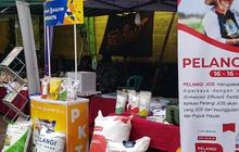 Pacu Produktivitas di Era Teknologi Industri 4.0, Pupuk Kaltim Ambil Langkah Begini