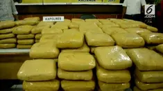 Polres Lampung Selatan menggagalkan pengiriman 231 Kg ganja asal aceh di pelabuhan penyeberangan Bakauheni Lampung.