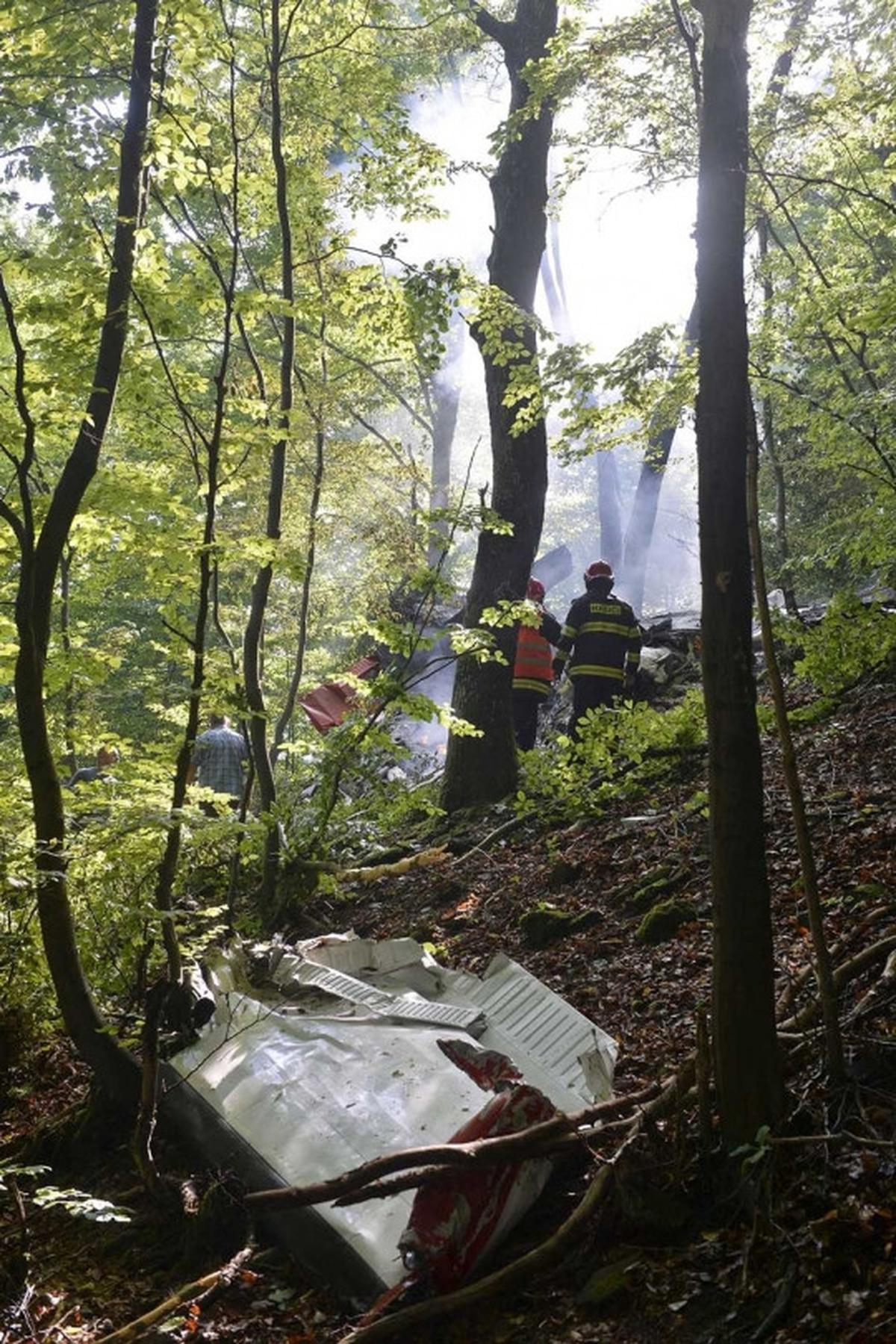 Dua pesawat penerjun payung bertabrakan dan jatuh terbakar di hutan