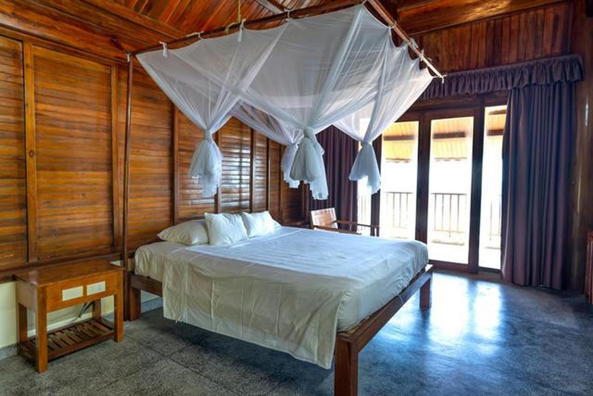 9 Cara Mengusir Nyamuk dari Kamar Tanpa Semprotan Kimia, Efektif Dilakukan