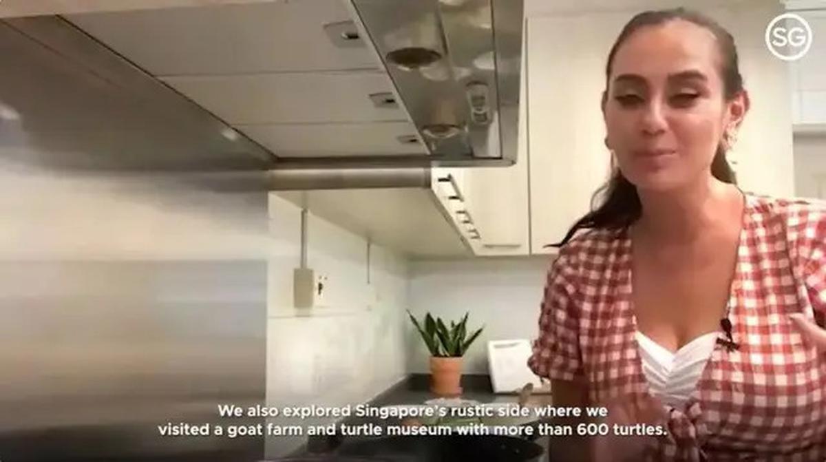Potret Dapur Modern Marissa Nasution di Singapura, Estetika dan Fungsionalitas
