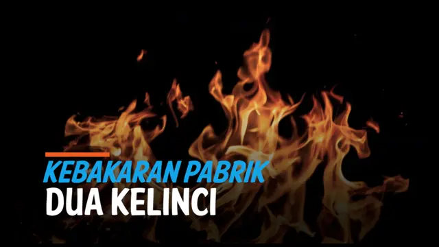 VIDEO: Kebakaran Pabrik Dua Kelinci, Asap Tebal Membumbung Tinggi