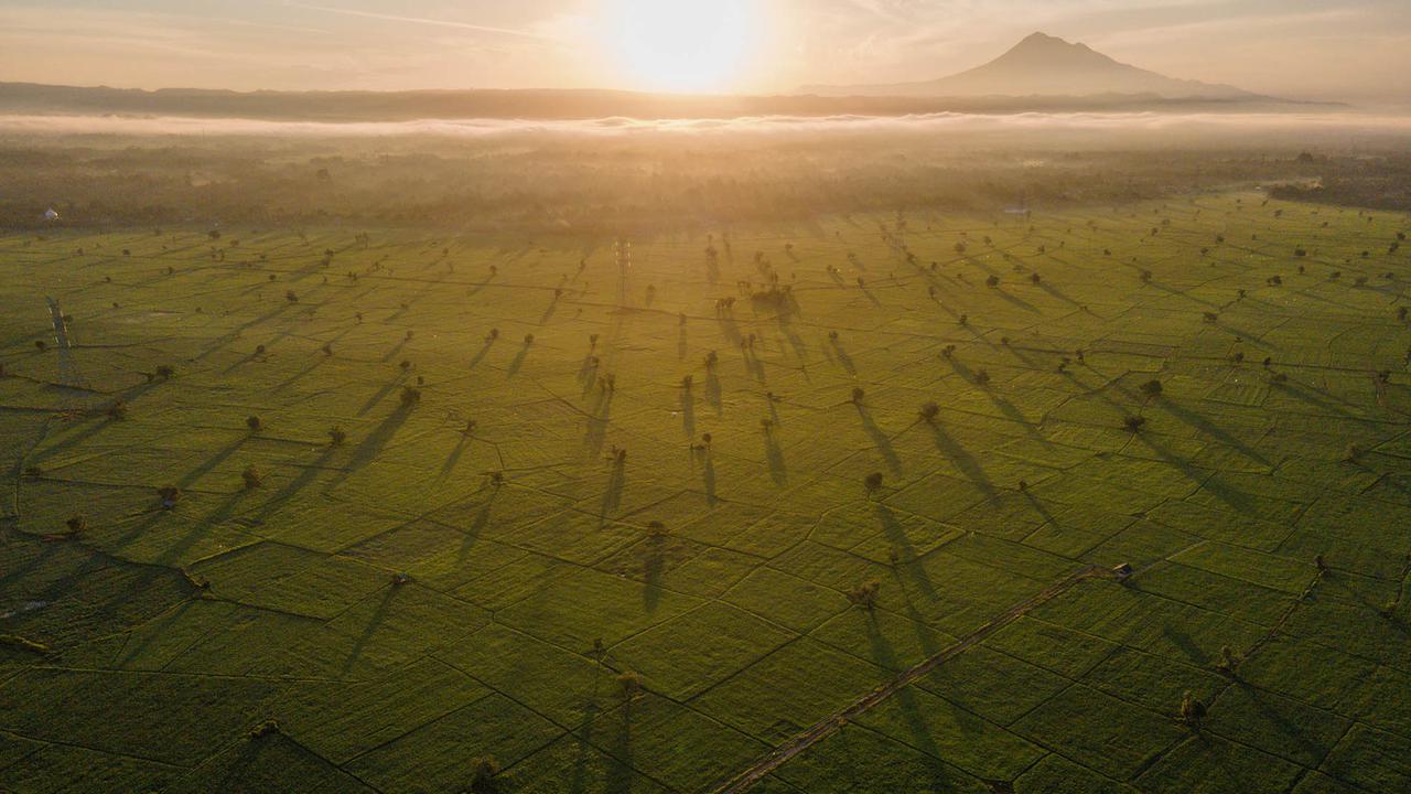 Mentari Pagi Menyinari Sawah Produktif Aceh Besar