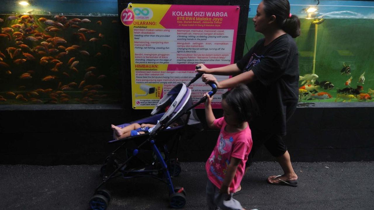Waluyo, seorang warga yang juga penjaga kolam gizi, mengungkapkan bahwa pembuatan kolam gizi ini untuk kepentingan warga.