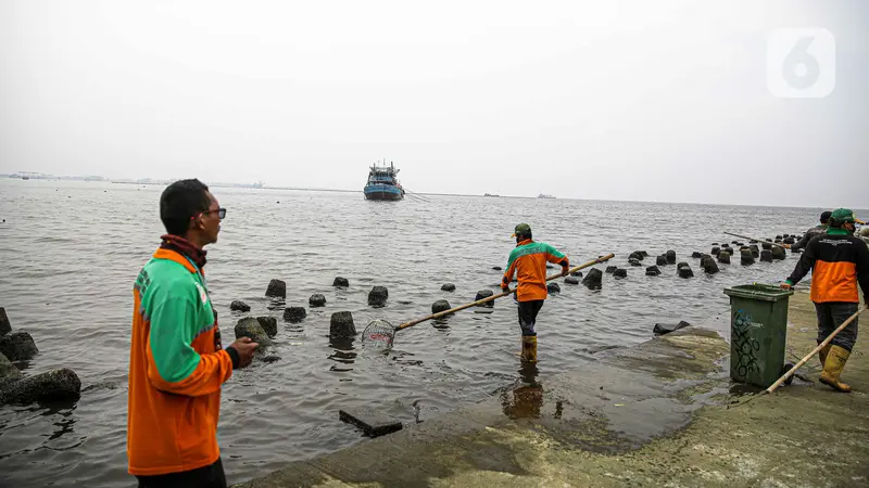 Teluk Angke dan Ancol Tercemar Paracetamol