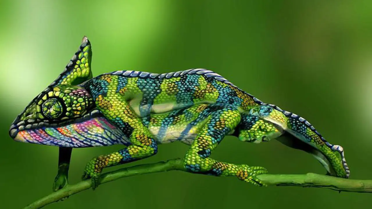 Wow, Bunglon dan Katak Ini Ternyata Perempuan yang Menyamar