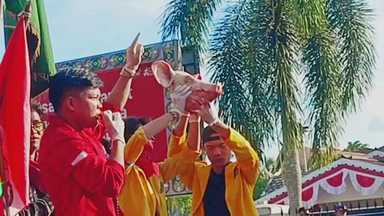 Mahasiswa Kalteng Bawa Kepala Babi Saat Demo