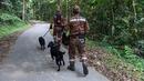 Tim penyelamat mengerahkan anjing pelacak saat mencari gadis disabilitas asal Irlandia Nora Anne Quoirin yang hilang dari sebuah resor hutan hujan di Seremban, Malaysia, Rabu (7/8/2019). Nora diketahui merupakan penyandang disabilitas yang kemampuannya tidak seperti anak seusianya. (Mohd Rasfan/AFP)