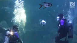 Penyelam melakukan atraksi menimang bola di dalam aquarium Sea World, Jakarta, Sabtu (16/6). Atraksi tersebut digelar dalam rangka menyemarakkan ajang Piala Dunia 2018 yang berlangsung di Rusia. (Liputan6.com/Immanuel Antonius)