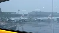 Pesawat Japan Airlines di Bandara Narita, Tokyo. (Liputan6.com/ Mevi Linawati)