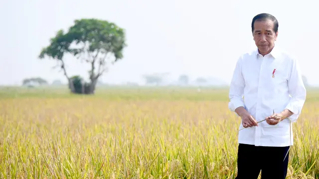 Presiden Joko Widodo mengikuti panen raya padi di Desa Ciasem Girang, Kabupaten Subang, Provinsi Jawa Barat, pada Minggu pagi, 8 Oktober 2023. (Foto: Rusman - Biro Pers Sekretariat Presiden)