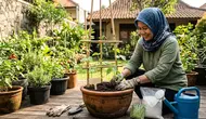 Cara Menanam Buncis di Pot untuk Kebun Rumah, Tak Perlu Lahan Luas