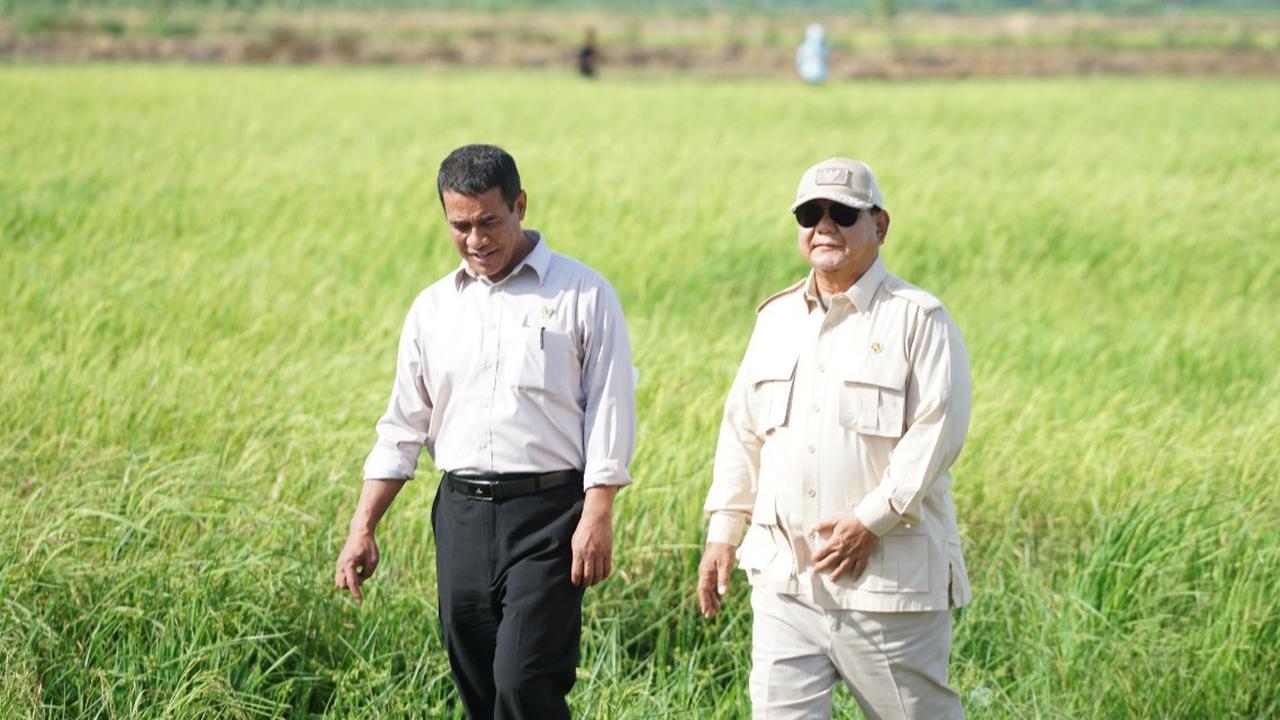 Survei Indikator Politik Indonesia: Kinerja Mentan Amran Tertinggi 84,9%.