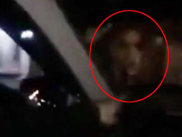 44 Gambar Ilusi Hantu HD