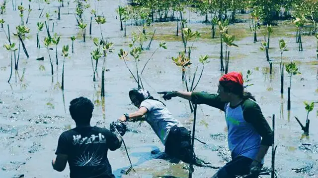 Hari Pohon Sedunia