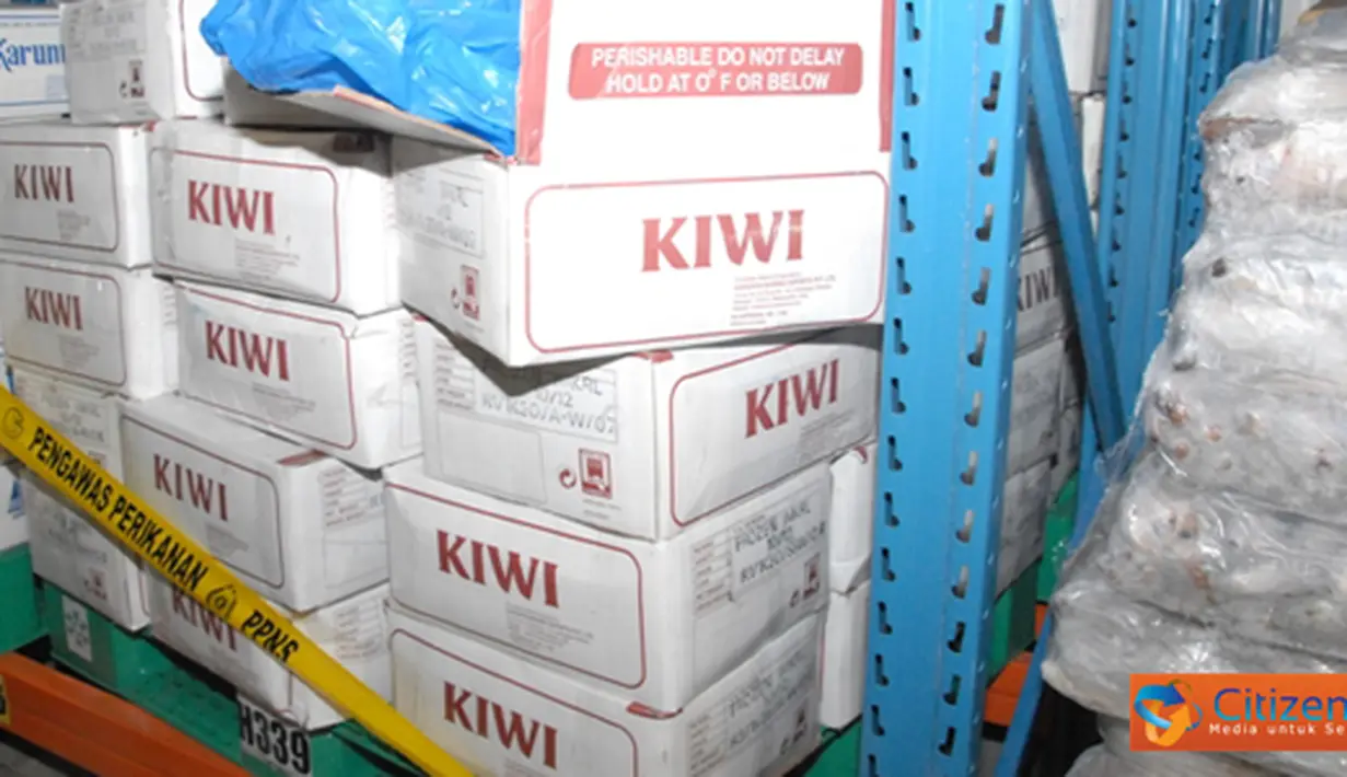 Citizen6, Jakarta Utara: Importir nakal menyalahi perijinan labeling dengan menggunakan label buah "KIWI" padahal faktanya didalamnya berisi ikan kembung dan makarel. Kalau terlepas bisa merugikan nelayan Indonesia. (Pengirim: Efrimal Bahri)