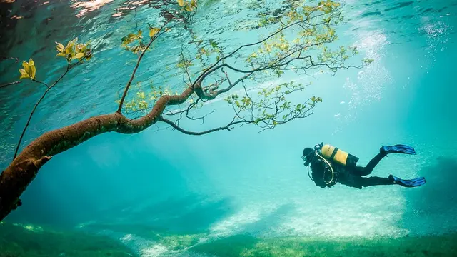Keindahan Bawah Air Green Lake