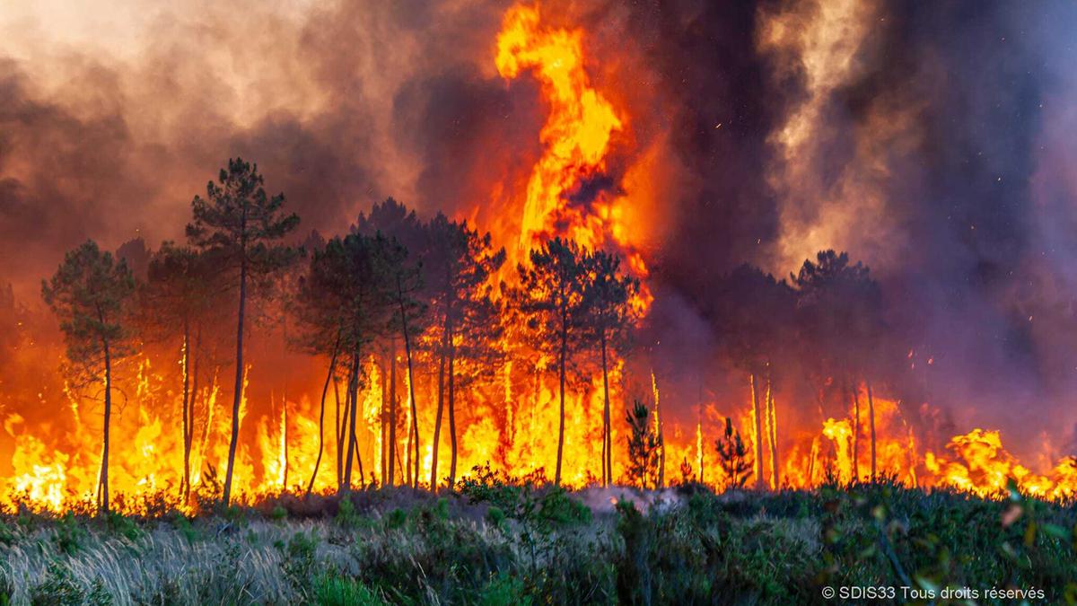 Kebakaran Spanyol Hanguskan 4 Ribu Hektar Hutan, 1.500 Warga Mengungsi -  Global Liputan6.com