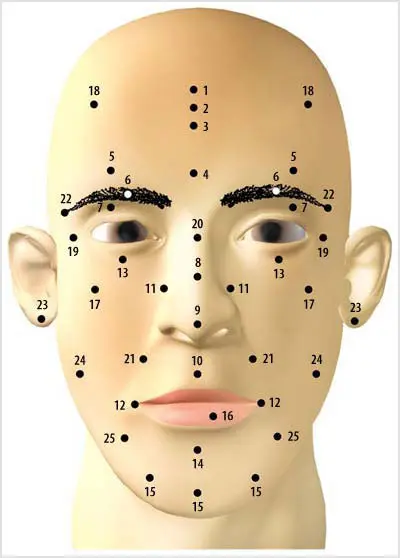 moles meaning