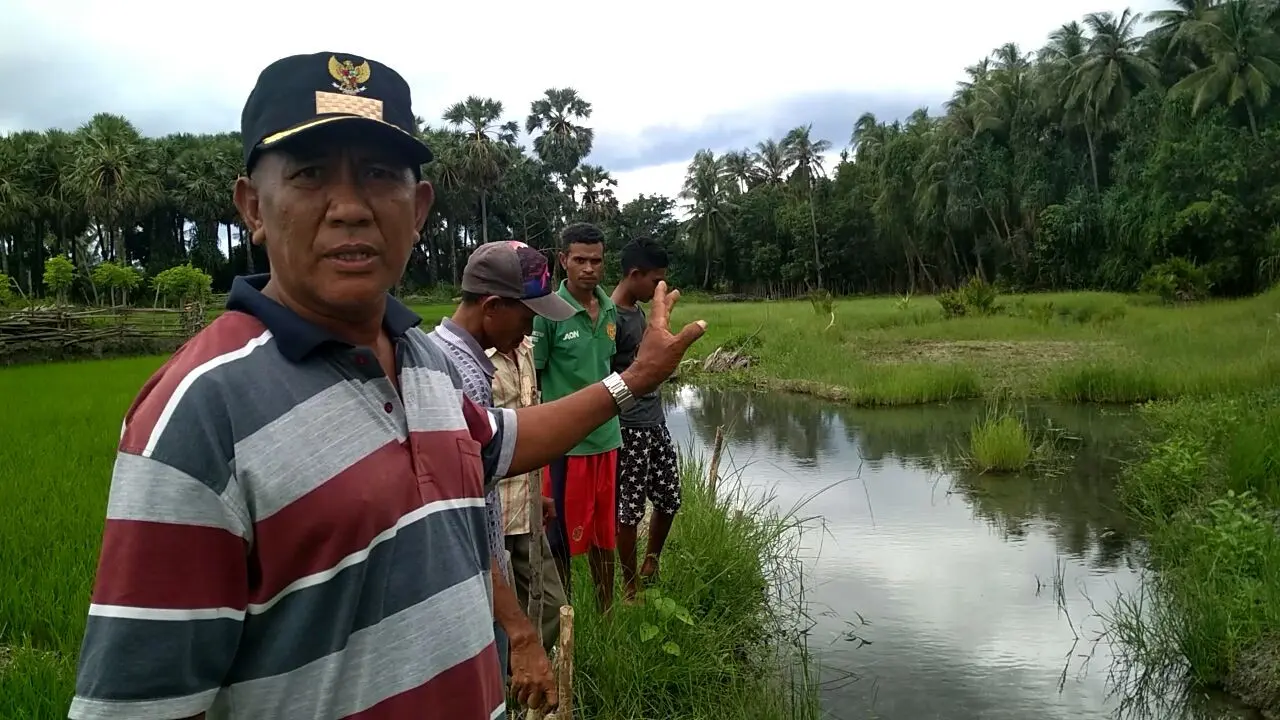 Ironi Petani di Perbatasan NTT, Krisis Air di Sumber Mata Air